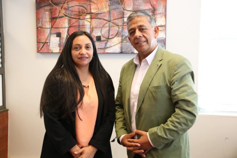 SEREMI DE BIENES NACIONALES EN COLLIPULLI