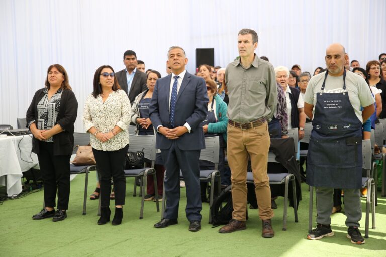 INAUGURAN  INSTALACIONES DE LA VEGA TECHADA DE COLLIPULLI