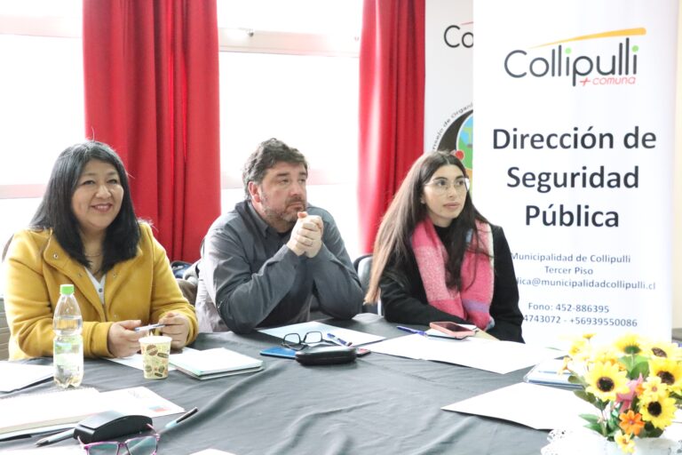 COLLIPULLI RECIBIÓ A JEFATURAS DE MUNICIPALIDADES QUE MANEJAN SEGURIDAD PÚBLICA