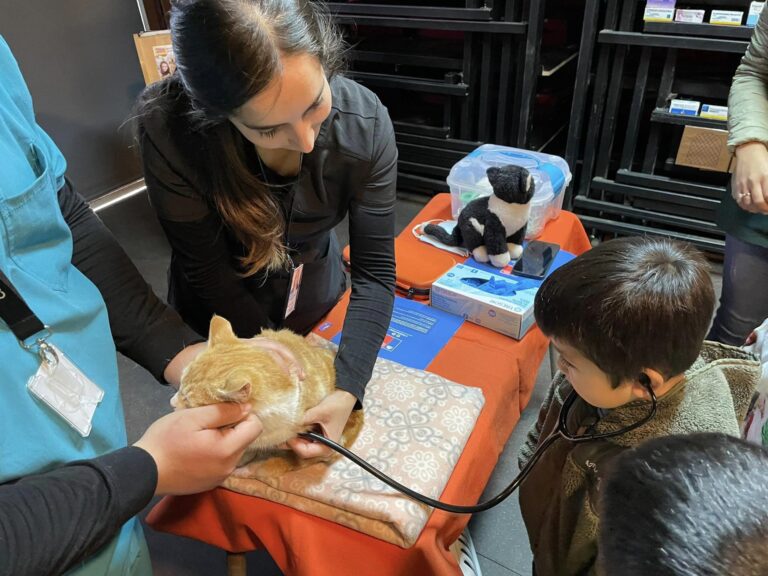 CENTRO VETERINARIO MUNICIPAL COMPARTIÓ CON ALUMNOS DE LA ESCUELA MIGUEL HUENTELÉN