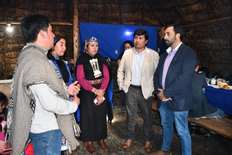 CONADI EN APOYO DE MUJERES RURALES MAPUCHE