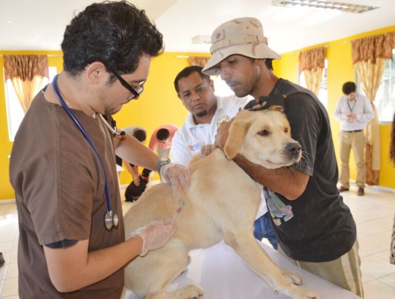 OPERATIVOS VETERINARIOS