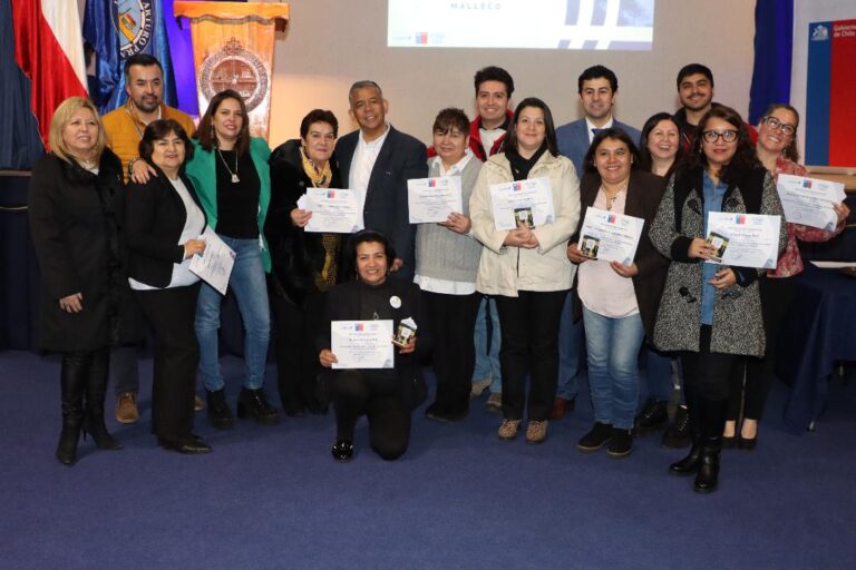Emprendedores de Collipulli Certificados en Innovación y Sustentabilidad por UNAP