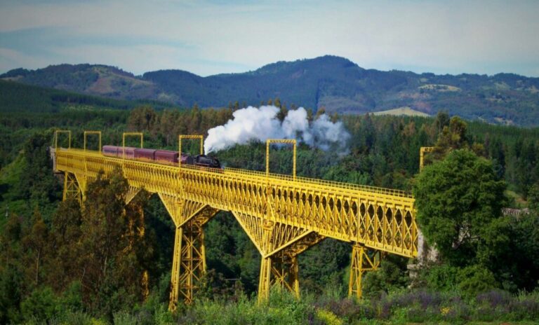 Collipulli: Dia Nacional del Turismo