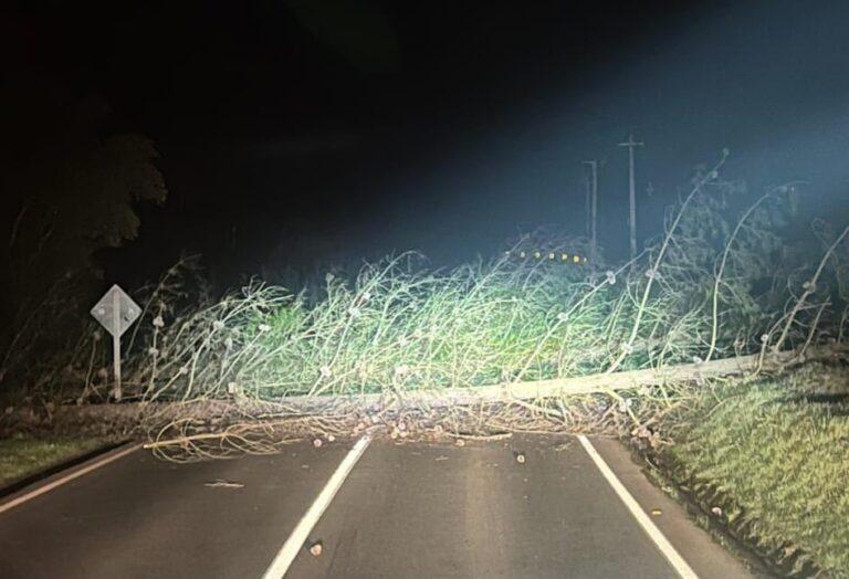 Queman camiones, roban camioneta y bloquean rutas en Pastene y Collipulli
