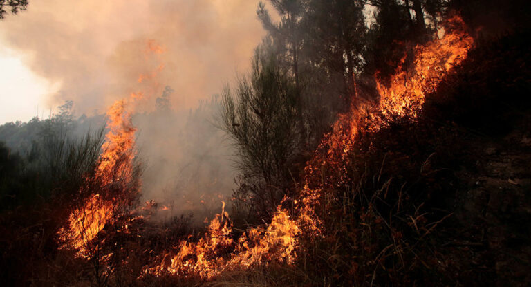 SÓLO 2 MUNICIPIOS DE MALLECO EN COMITÉ DE GESTIÓN DE RIESGO DE INCENDIO