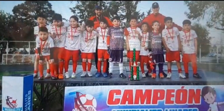 GRAN FIESTA DEPORTIVA: CON ÉXITO SE REALIZÓ EN LINARES LA 4TA VERSIÓN DE MUNDIALITO DE FÚTBOL: ESTUVIERON ALLÍ TRES  COLLIPULLENSES