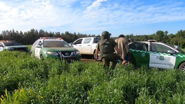 En libertad quedan primeros formalizados tras puesta en marcha de Ley de Usurpaciones en La Araucanía