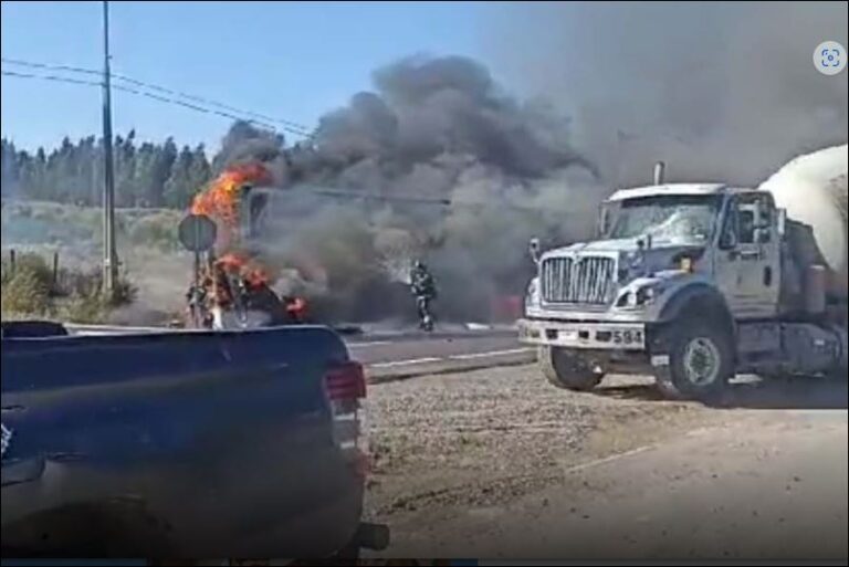 Confirman un fallecido en accidente   ruta Angol – Renaico