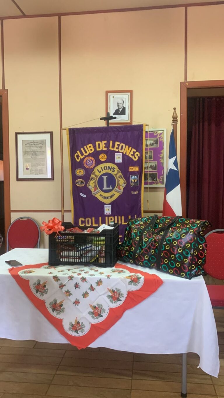Comité de Damas del Club de Leones de Collipulli Ilumina la Navidad con Generosidad