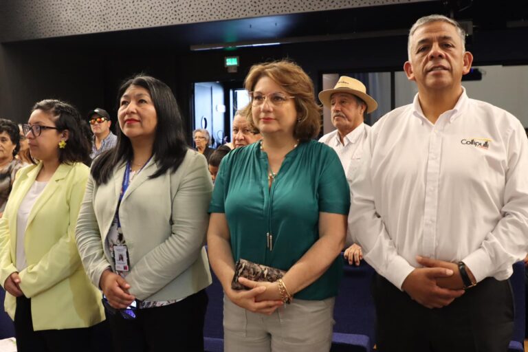 Programa Vínculos en Collipulli: Apoyo Sostenido a Adultos Mayores para Fortalecer su Autonomía