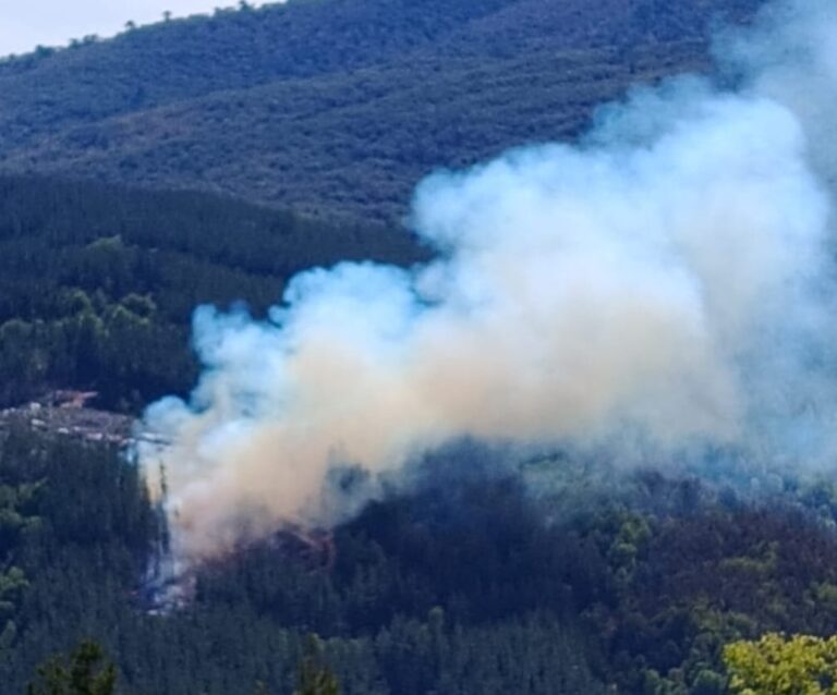LA ARAUCANÍA: BALANCE ACTUAL DE INCENDIOS SEGÚN INFORME DE CONAF