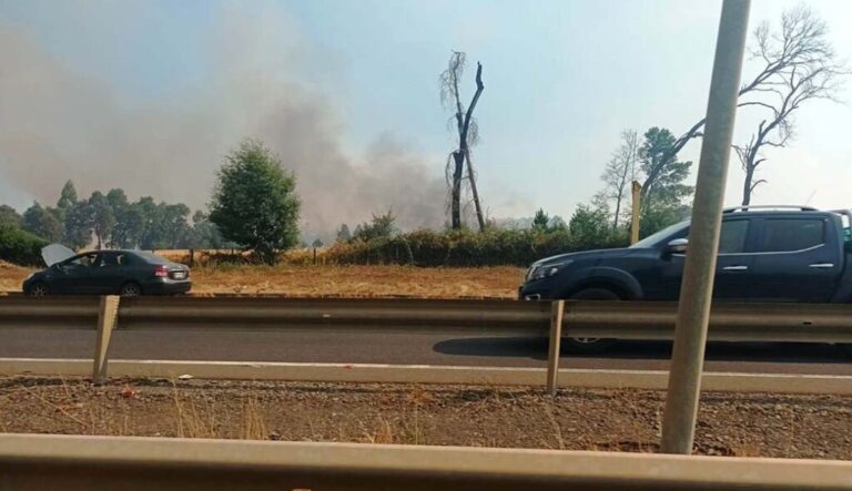 INCENDIO CONSUME VARIAS HECTAREAS EN ERCILLA