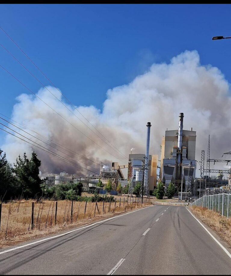 Intenso trabajo para controlar incendio forestal en Collipulli