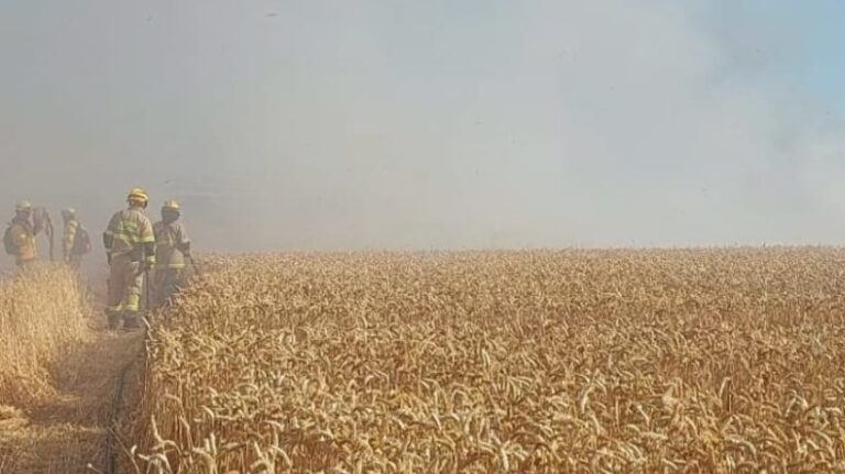 AGRICULTORES DENUNCIAN INTENCIONALIDAD EN INCENDIOS