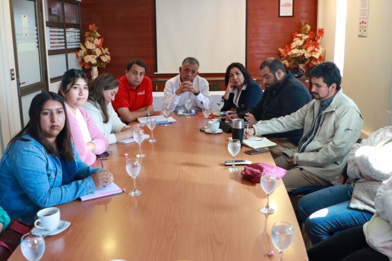 AVANZAN GESTIONES PARA ELECTRIFICACIÓN DOMICILIARIA EN ZONA RURAL DE COLLIPULLI