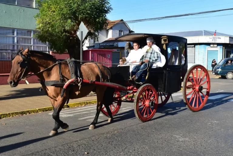 PREPARAN FIESTA DE CUASIMODO EN COLLIPULLI
