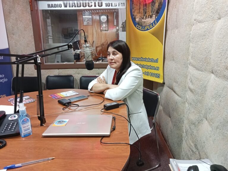 SEREMI DE LA MUJER EN COLLIPULLI