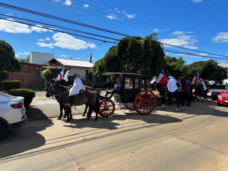 EL SABADO SE DESARROLLO  FIESTA DE CUASIMODO