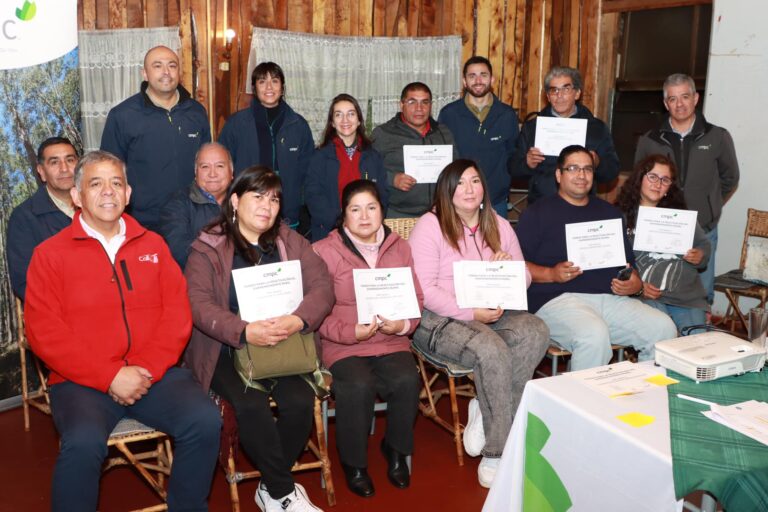 CMPC Y CIDERE BIOBÍO APOYAN A EMPRENDEDORES AFECTADOS POR INCENDIOS EN COLLIPULLI