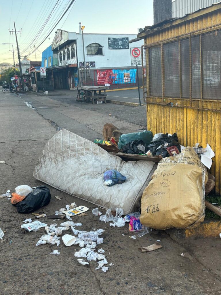 LA ACUMULACIÓN DE BASURA EN EL CENTRO DE LA CIUDAD ECLIPSA EL PAISAJE URBANO