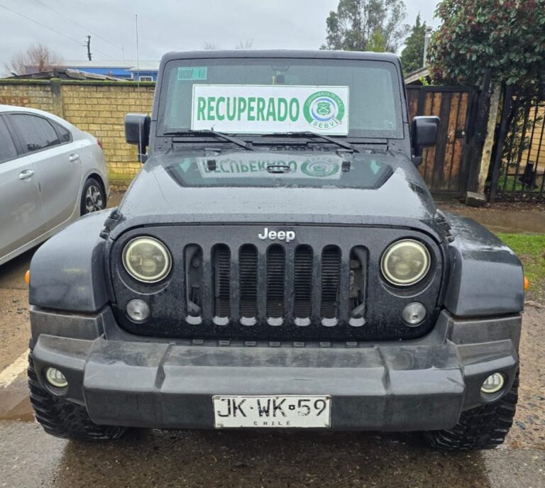 DETENIDOS POR ROBO DE VEHICULOS