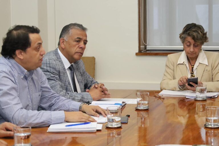 Preocupación en Collipulli por Impacto de Proyecto Vial en Ruta 5 Sur: Alcalde y Secplac se Reúnen con Ministra de Obras Públicas