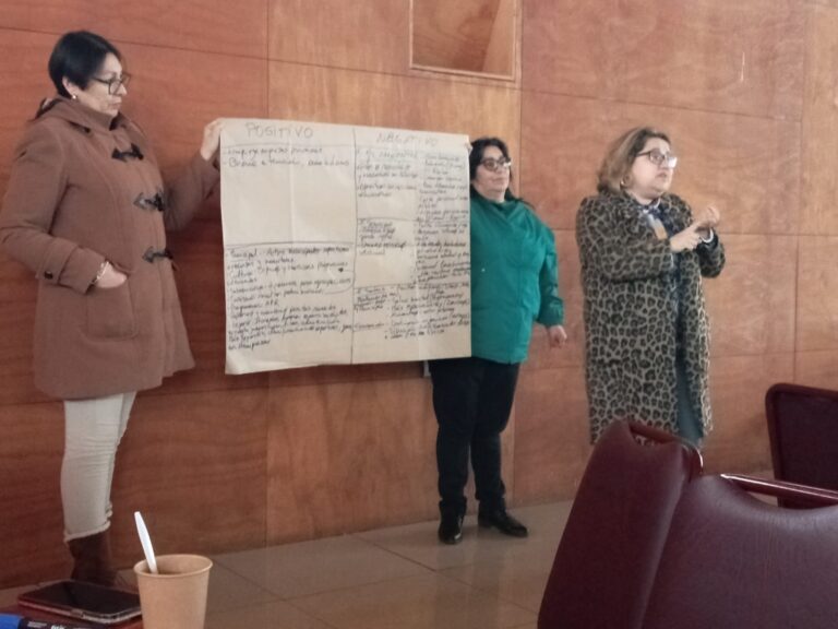 Diagnóstico Comunal de Salud en Collipulli