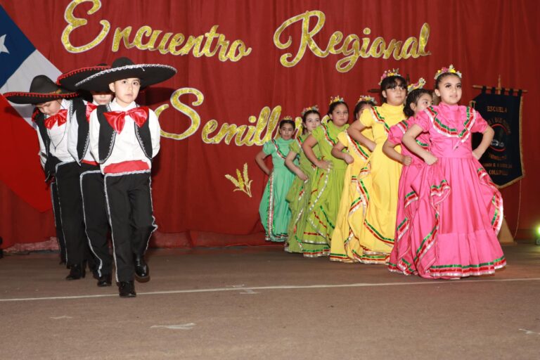 EXITOSO   ENCUENTRO REGIONAL DE SEMILLEROS EN COLLIPULLI