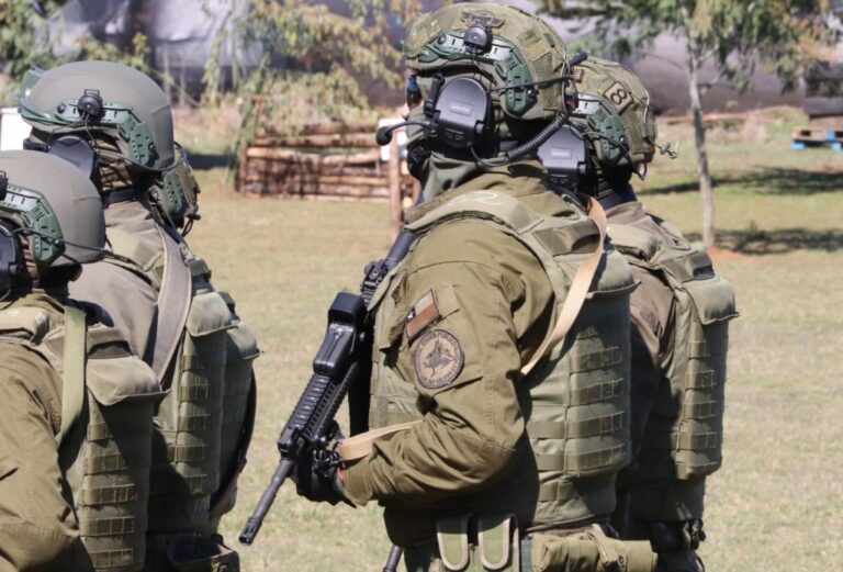 Carabineros detiene a cuatro sujetos por sustracción de madera en Ercilla