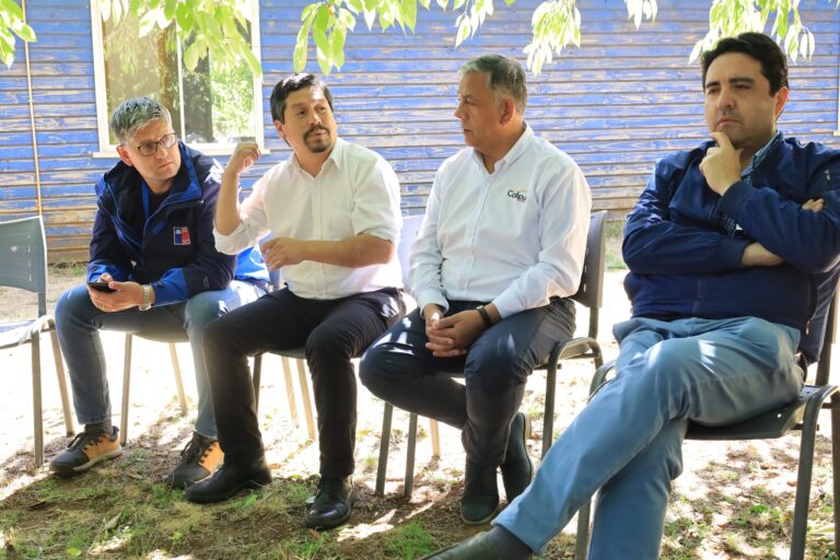 AVANCES SIGNIFICATIVOS EN SALUD PARA LOS VECINOS DEL SECTOR CAILLÍN
