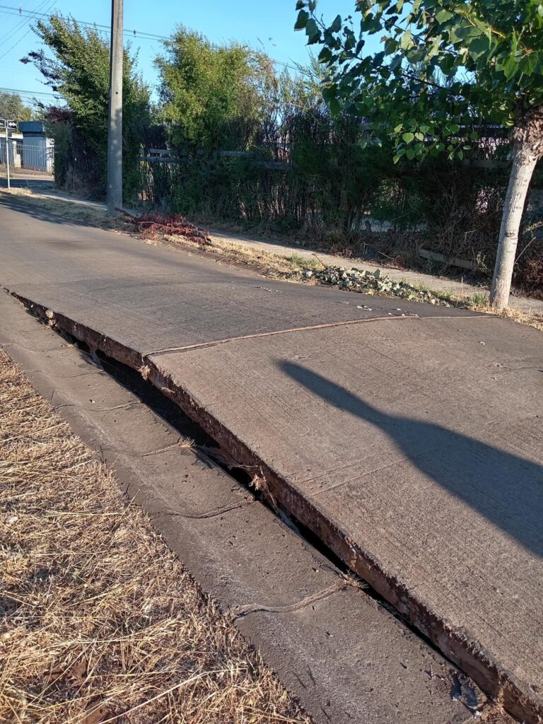 ALTAS TEMPERATURAS PROVOCAN DEFORMACIÓN EN CALZADA