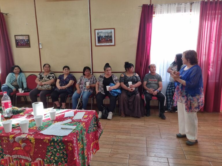 Comité de Damas del Club de Leones de Collipulli Ilumina la Navidad con Generosidad