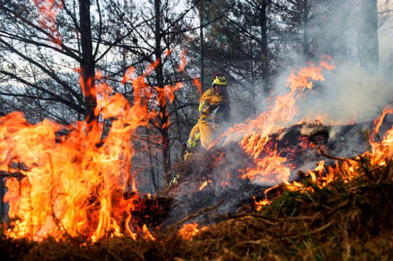 La Araucanía en Alerta Temprana Preventiva por riesgo de incendios forestales y ola de calor