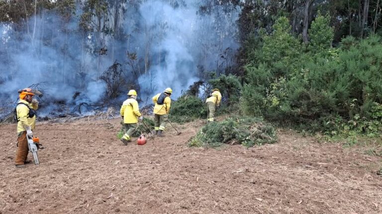 INCENDIOS FORESTALES EN COLLIPULLI: CMPC DESPLIEGA AMPLIO OPERATIVO PARA COMBATIR EMERGENCIAS