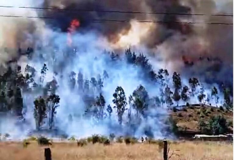 TRES BRIGADISTAS MUEREN EN COMBATE A INCENDIO FORESTAL EN LOS SAUCES