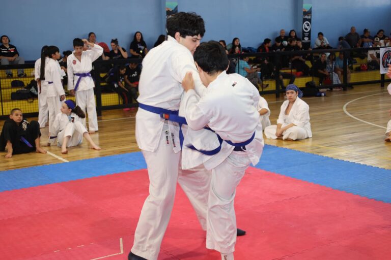 COLLIPULLI FUE SEDE DEL CAMPEONATO INTERNACIONAL DE KARATE: UN EVENTO DE DISCIPLINA Y HERMANDAD DEPORTIVA