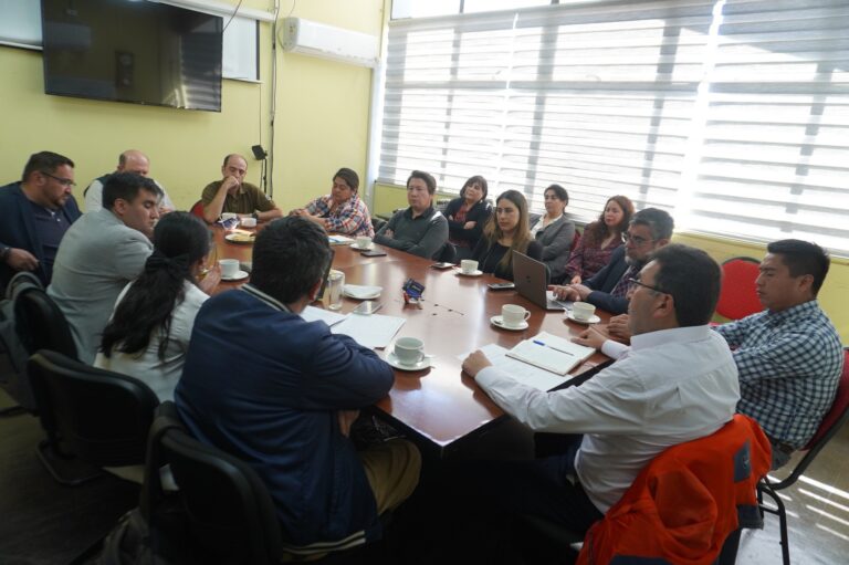 CONSEJO DE SEGURIDAD MUNICIPALIDAD DE ERCILLA