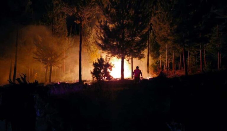 EVACUAN A FAMILIAS, TRAS INCENDIO FORESTAL EN LOS SAUCES
