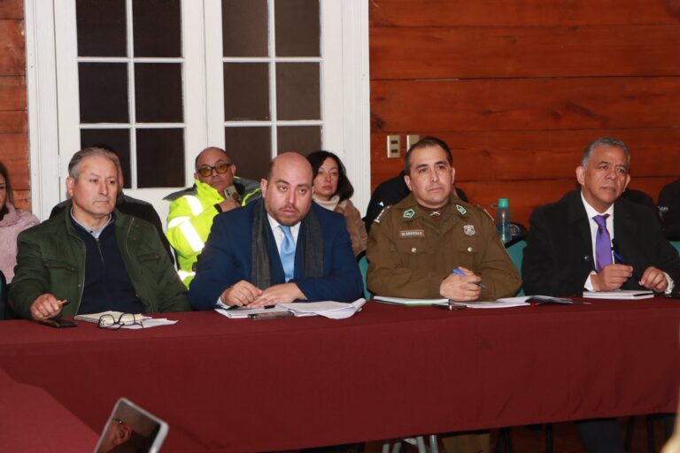 ESTRATEGIAS CONJUNTAS PARA MEJORAR LA SEGURIDAD EN LA PROVINCIA DE MALLECO