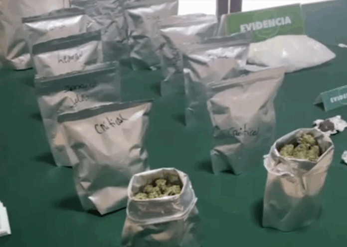 Captura de pantalla 2025-07-07 203250