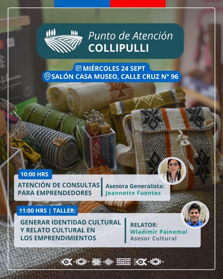 PUNTO DE ATENCIÓN PARA EMPRENDEDORES EN COLLIPULLI