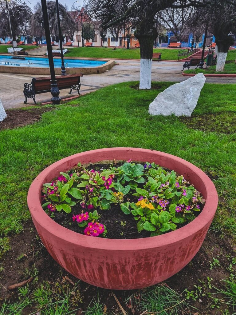 Collipulli renueva su plaza central con flores, pintura y mobiliario reparado