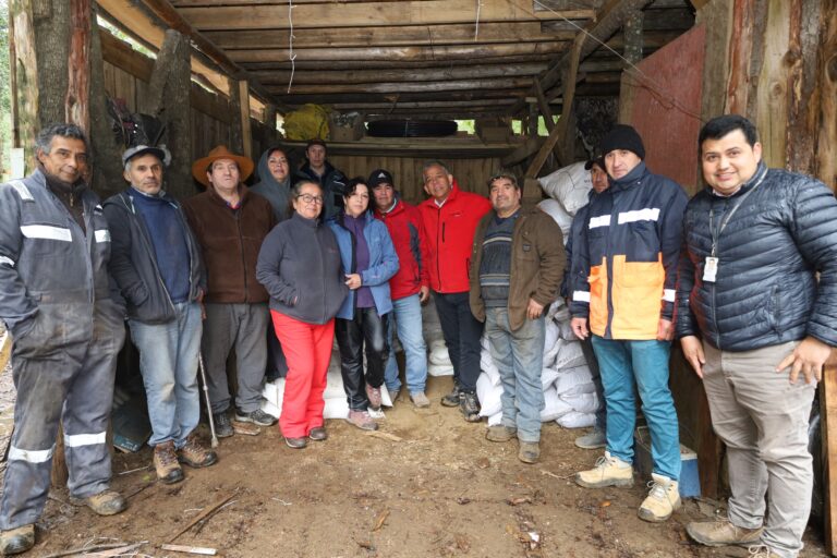 ENTREGAN ALIMENTO CONCENTRADO PARA ANIMALES