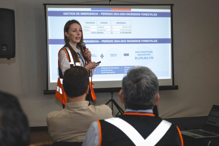 AUTORIDADES Y ORGANIZACIONES DE COLLIPULLI SE PREPARAN PARA PREVENIR INCENDIOS FORESTALES
