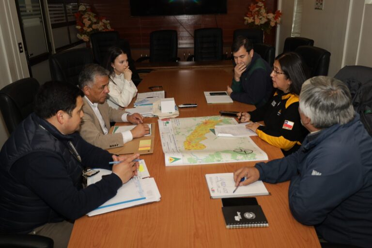 COLLIPULLI SE PREPARA PARA ENFRENTAR LA PRÓXIMA TEMPORADA DE INCENDIOS FORESTALES
