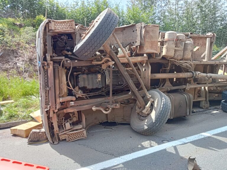 Trágico accidente en la Ruta 5: conductor fallece tras volcamiento de camión en la cuesta Mininco