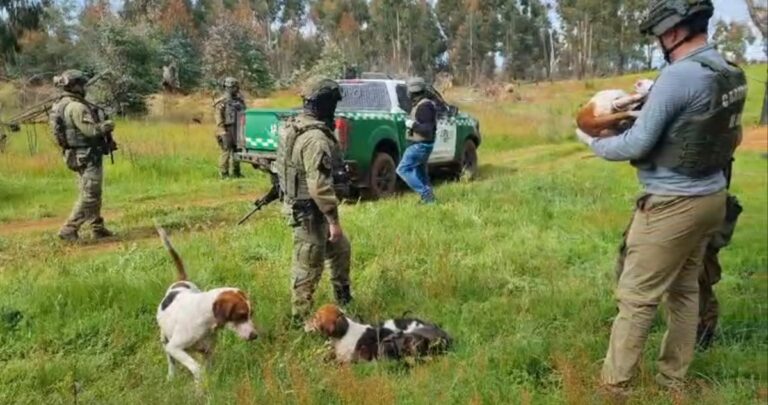 ATACAN A CAZADORES DE CONEJOS