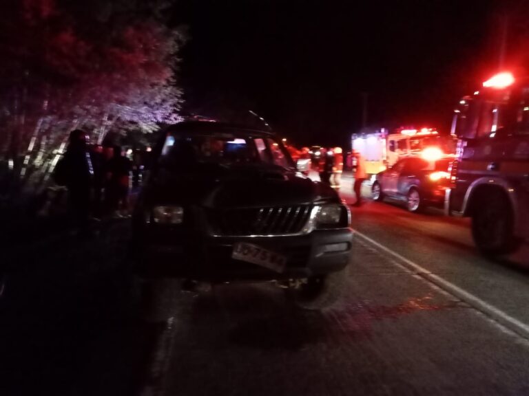 Fatal atropello en la ruta 22, cerca de Mininco