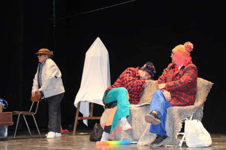 Encuentro teatral “Malleco en Escena” reunió talento y creatividad en Collipulli